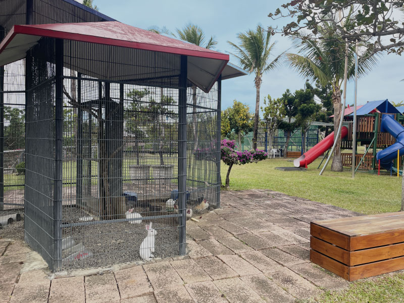 Rabbit and Chicken Thumbnail