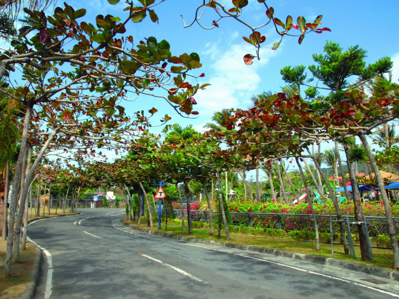 天鵝湖藍天綠水