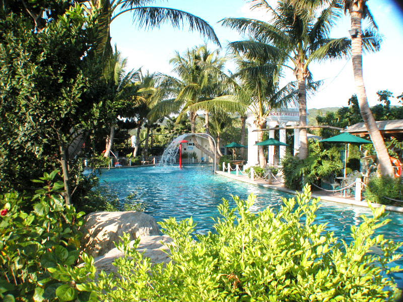 Coconut Grove Swimming Pool